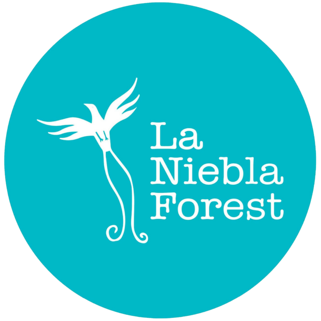 La Niebla Forest